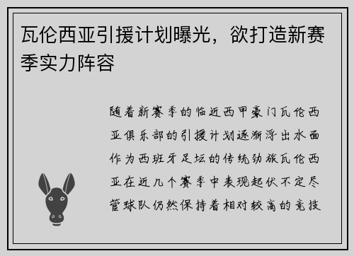 瓦伦西亚引援计划曝光，欲打造新赛季实力阵容